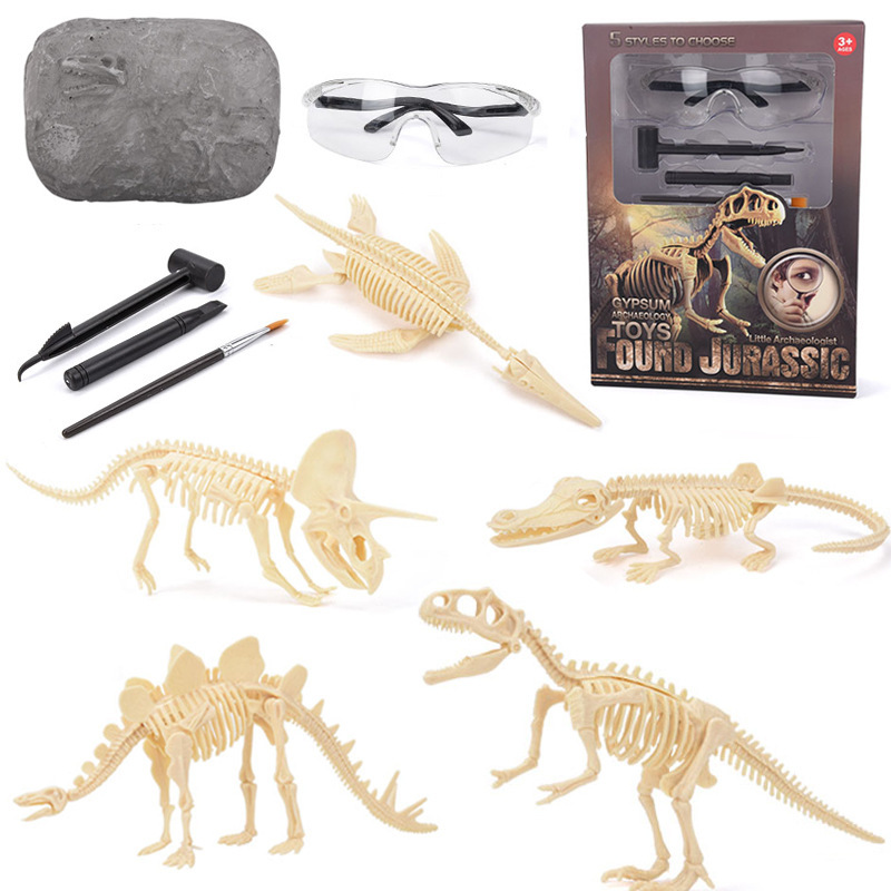 Model Kit For Girls - Dinosaur Fossil Excavation Kit STEM Excavates