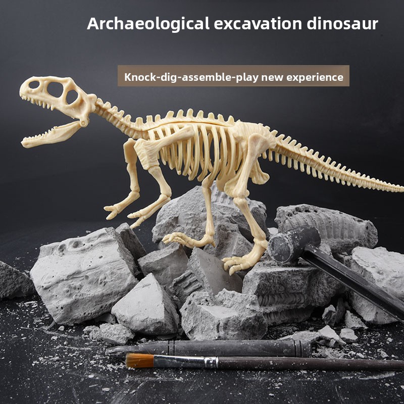 Dinosaur Fossil Excavation Kit - Model Kit For Girls recension och pris