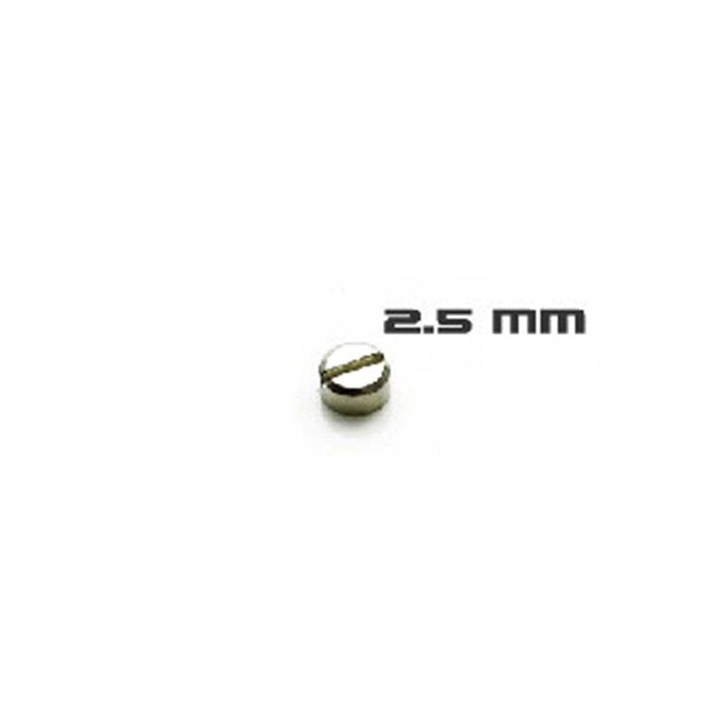 30pcs Armored Screws Model Sup - Model Kit Gundam Hg recension och pris